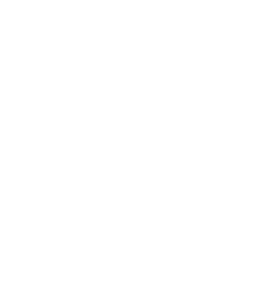 IRS — I Rugged Successfully